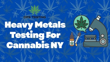 Why Heavy Metals Testing Matters in New York