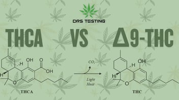 Delta-9-THC vs THCA: Why Labels Differ