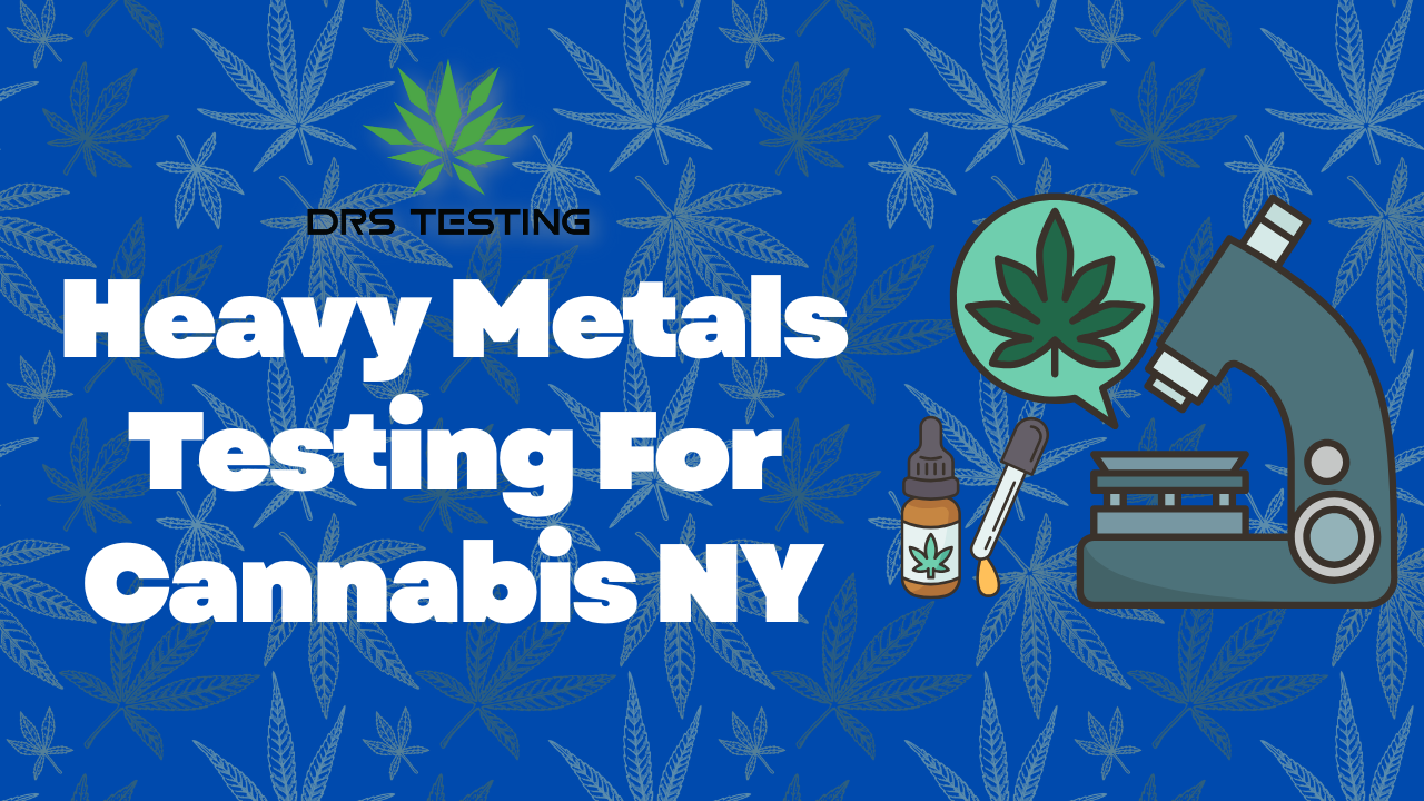 Why Heavy Metals Testing Matters in New York