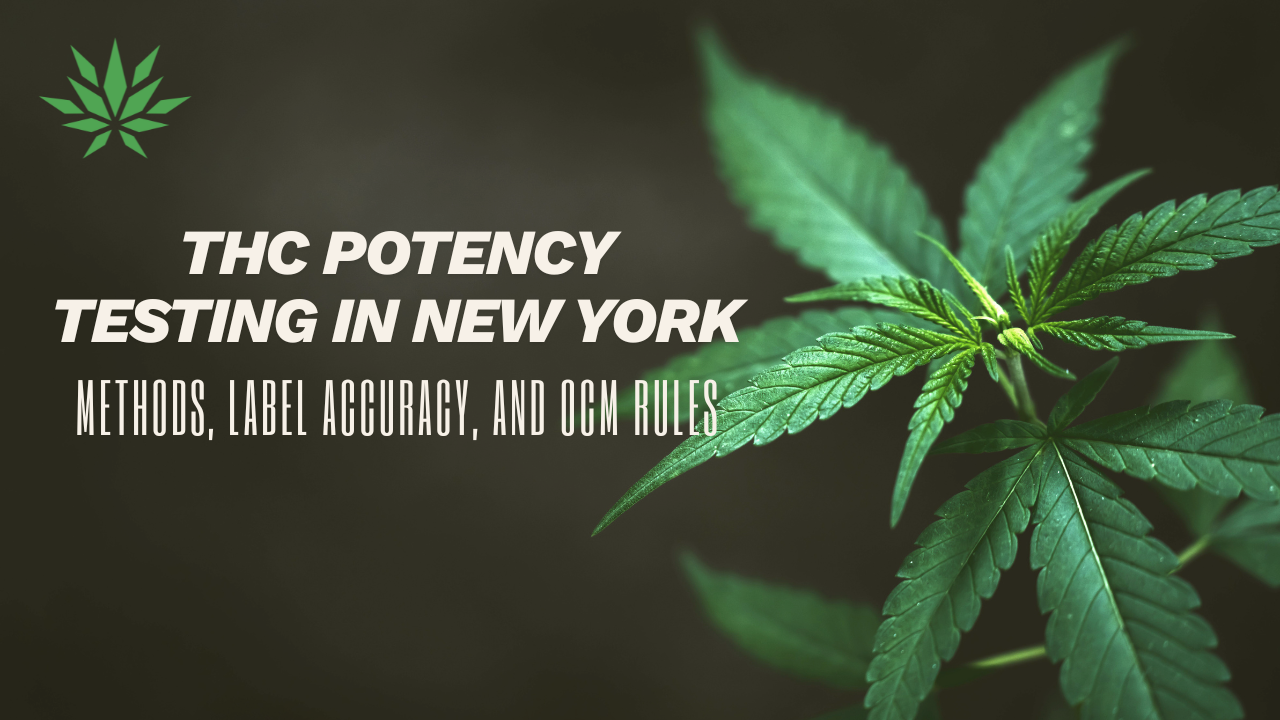 THC Potency Testing in New York: Methods, Label Accuracy, and OCM Rules